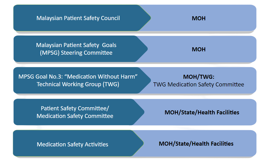 Medication Safety Main Committee